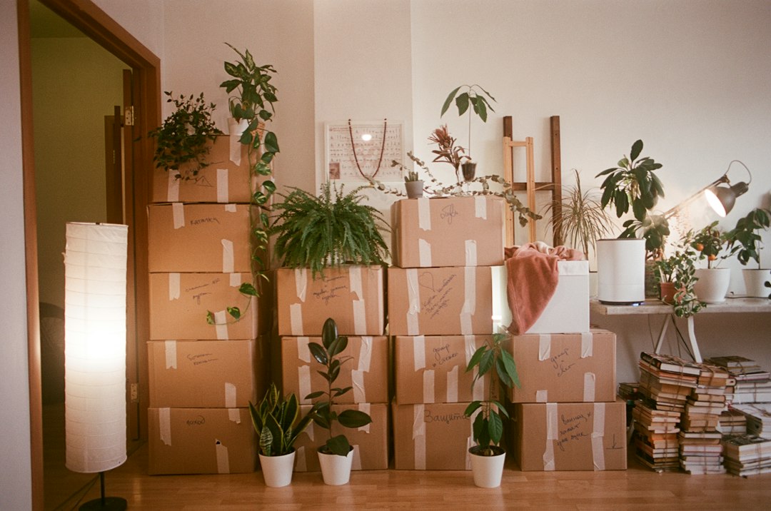 Cartons et biens regroupés pour préparer un tri — illustration